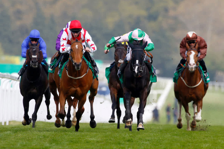 Horse racing tips: Wednesday picks from Dave Nevison