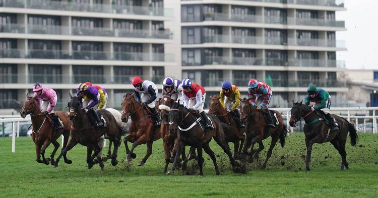 Horse racing tips: Wednesday selections from Newsboy for five meetings including Newbury