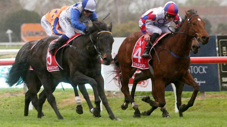 Horse racing: Wet weather forces abandonment of Hawke's Bay carnival races