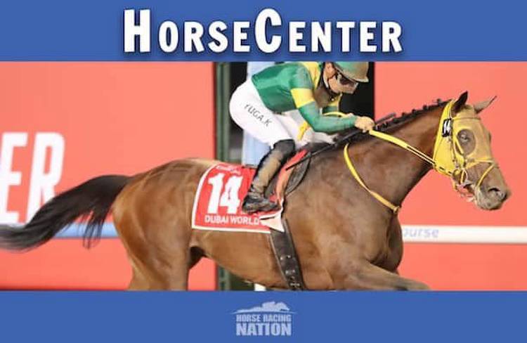 HorseCenter: Breeders' Cup 2023 contenders and pretenders