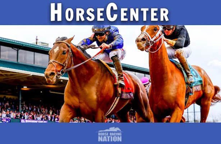 HorseCenter: Early picks for all 14 Breeders' Cup races