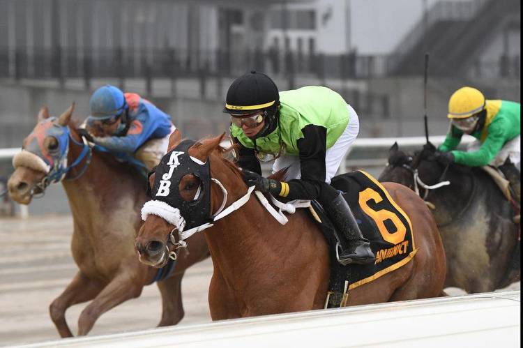 Hot Rod Charlie warms up for Dubai World Cup