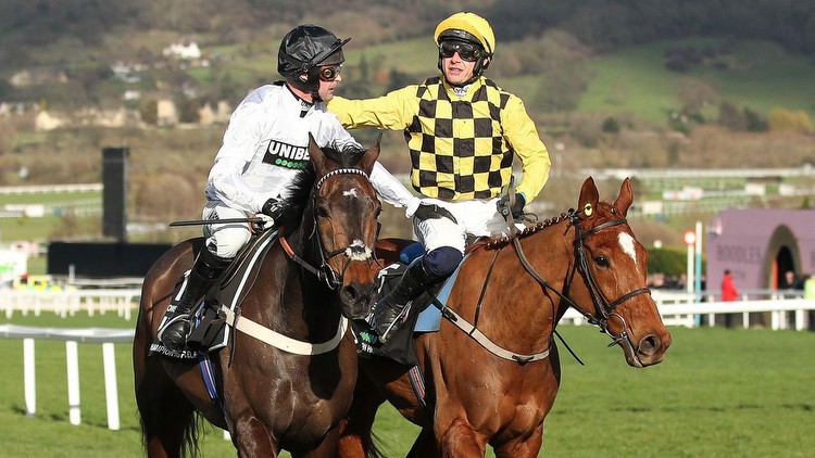 How many runners will there be in the Champion Hurdle at the Cheltenham Festival?