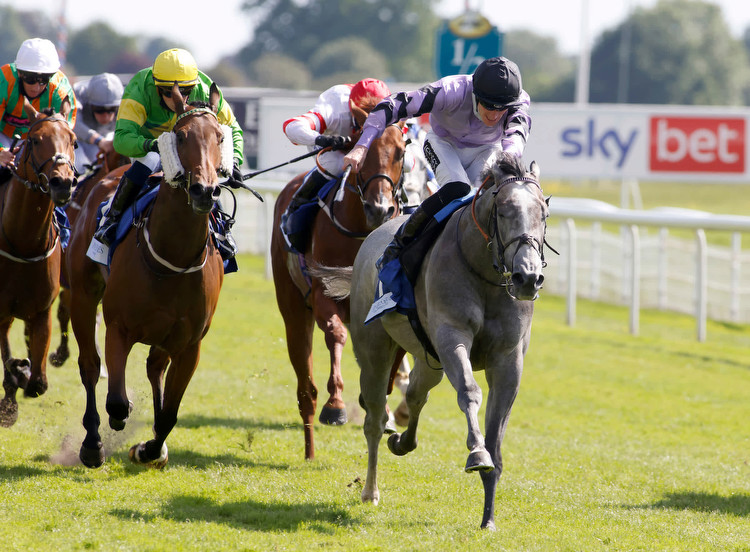 How To Bet £20 on day one of the Dante meeting at York