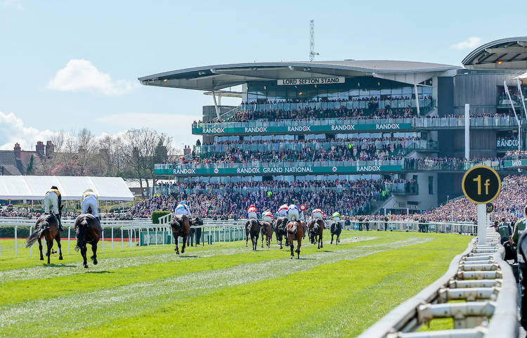 How To Bet £20 on day one of the Grand National meeting