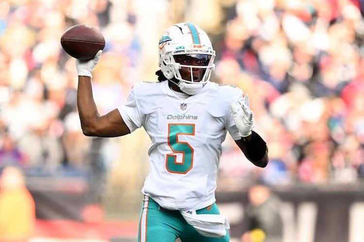 How To Bet On Miami Dolphins In Florida 2023
