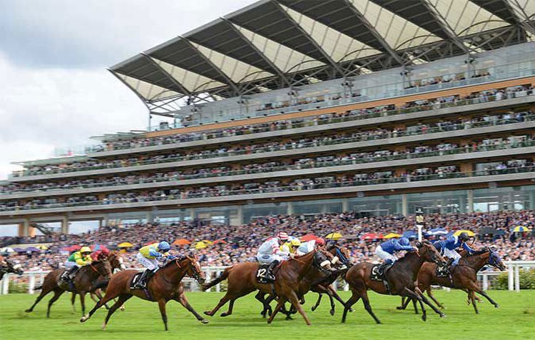How to Bet on Royal Ascot In New York