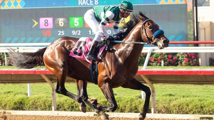 How to bet the 2022 Pacific Classic Stakes