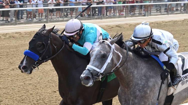 How to bet the 2023 Jim Dandy Stakes