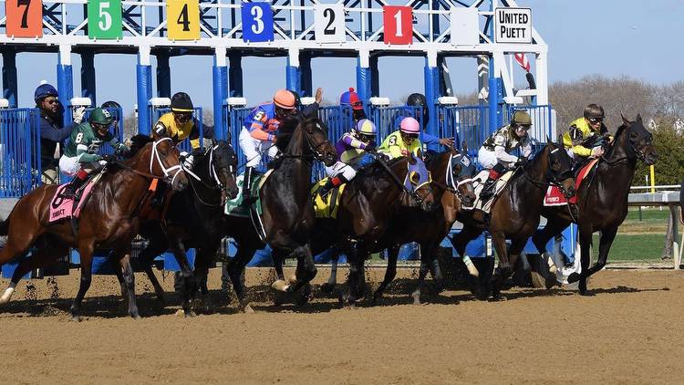 How to bet the Sands Point Stakes