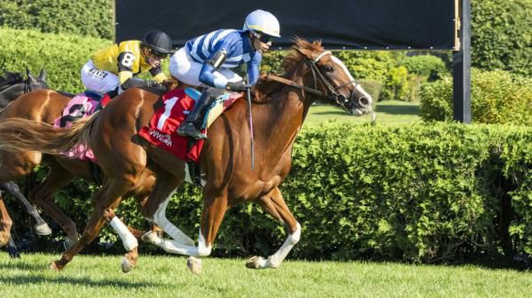 How to Make Money Betting the 2023 Miss Grillo Stakes