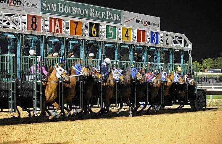 How to play Sam Houston's Texas Champions Day