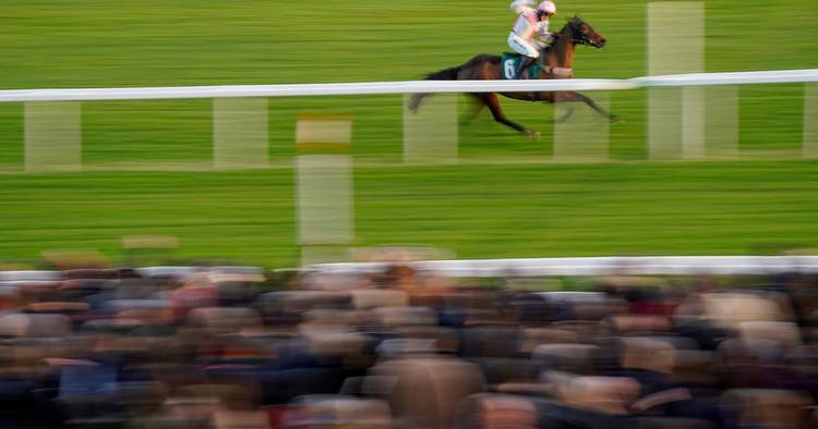 How to watch Cheltenham Festival races live, Racing TV cost and why ITV isn't showing all races