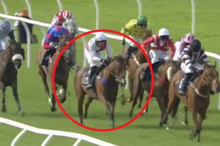 Huge racing row explodes as punters demand giant ban for jockey's 'appalling' ride
