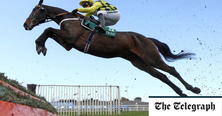 Hunting horn can get Shishkin off to a flyer at Cheltenham