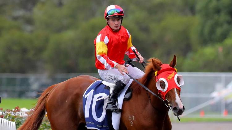 Husband-wife team chasing Australian Derby fairytale with Tapildoodledo