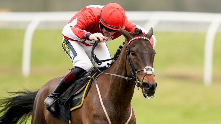 In-form Gavin Sheehan picks up King George VI Chase ride on Shark Hanlon's Irish raider Hewick