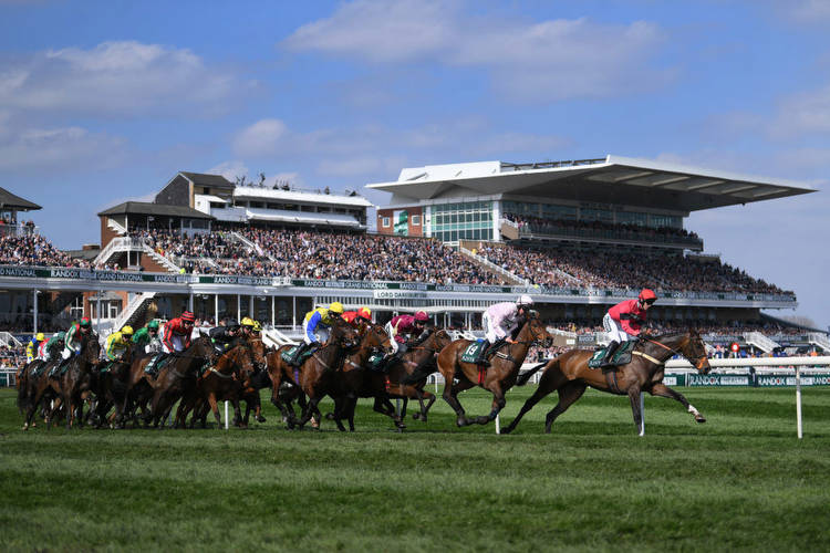 In-Play Horse Racing Betting Strategies: Tips and Insights