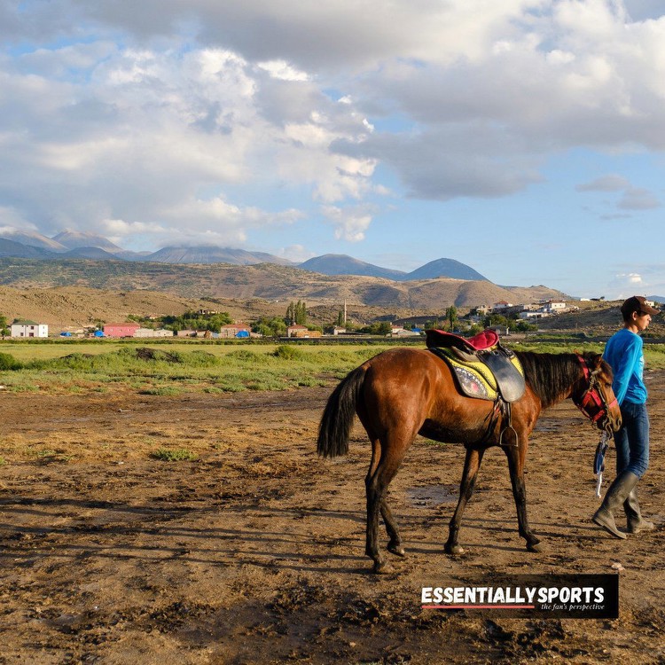 International Equestrian Arena Witnesses Record-Breaking Feats by Horse World Pool