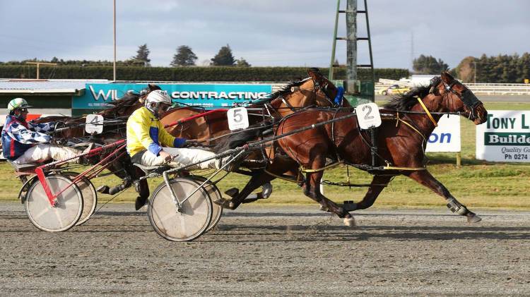 Invercargill to host its first ever $100k Group 1 harness horse race