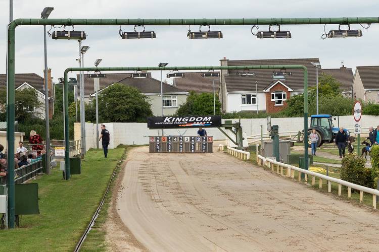 Irish Derby contender Ryhope Beach breaks 29.00 second in Tralee trial run for ‘Curley’ O’Donovan