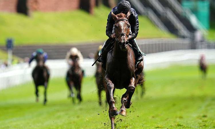 Irish Oaks: Timeform preview and free Race Pass