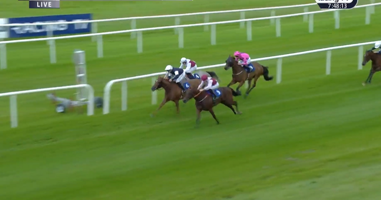 Irish trainer wins race with 200/1 shot as another of his runners finishes third at same odds