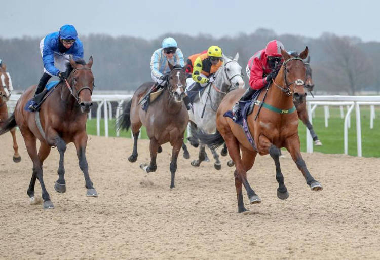 ITV Racing Tips: Check out our best bets from the Racing League at Newcastle
