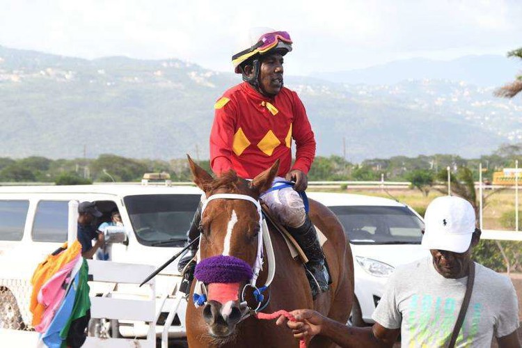 Jamaica Derby Race Day Review