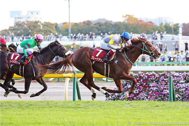 Japanese Caulfield Cup hope out to emulate Mer De Glace