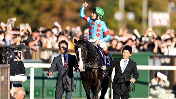 Equinox is paraded in front of the stands after victory