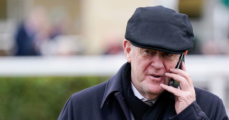 JP McManus-owned horse's odds slashed for Cheltenham Festival after flurry of bets