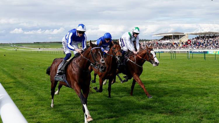 Juddmonte Royal Lodge report: The Foxes edges thriller