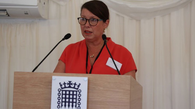 Julie Harrington’s remarks to Parliamentary reception