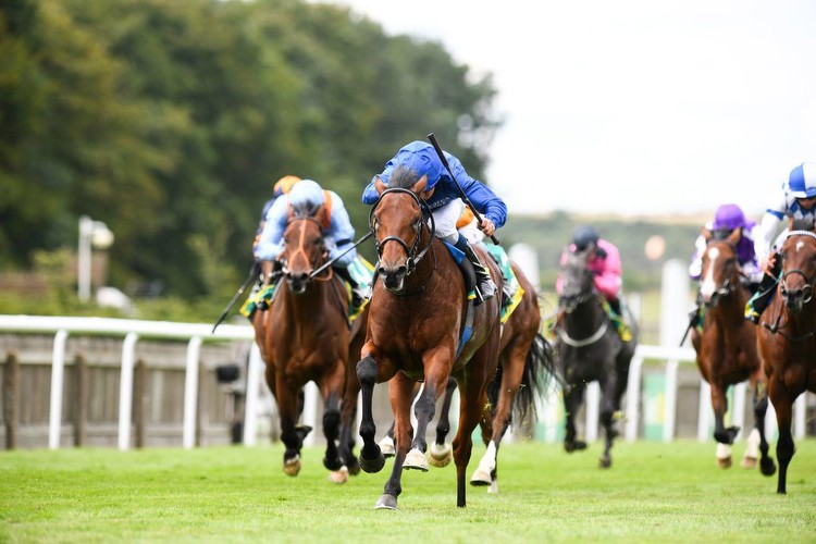 July Cup Stakes 2023 Betting Tips and Predictions