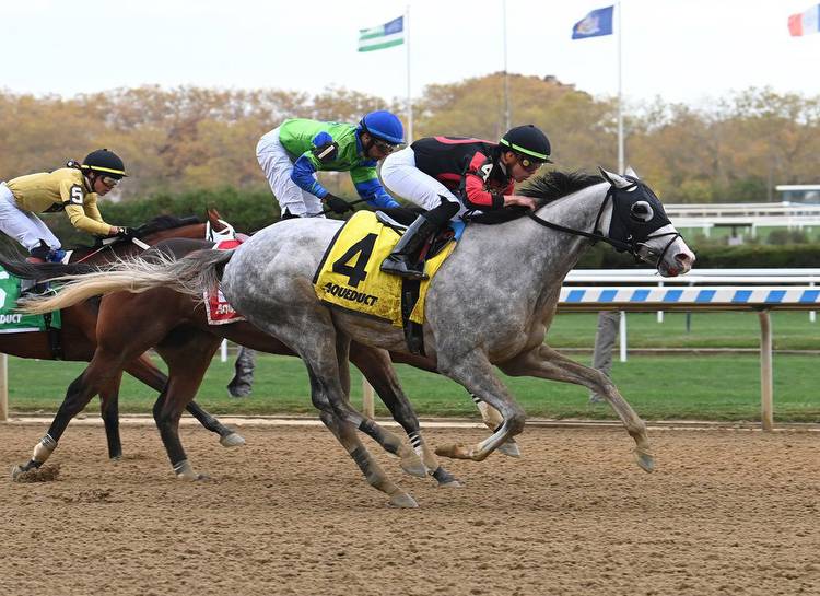 Justify's Champions Dream Runs Down Full Moon Madness In Nashua