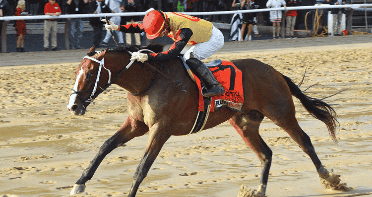 Keeneland Barn Notes: Basin Gets Final Prep for G2 Blue Grass Stakes