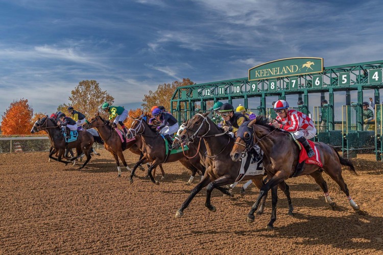 Keeneland Hosts 2 Breeders’ Cup Preps: Sunday, October, 8 Selections