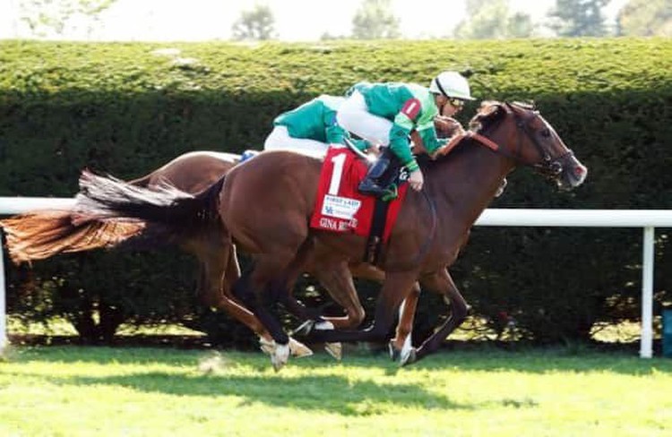 Keeneland undercard: Gina Romantica, Yuugiri win stakes