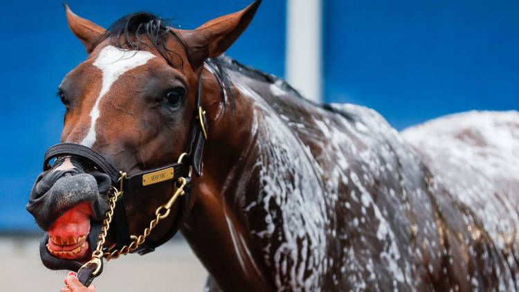 Kentucky Derby 2023: Forte favorite, but don't overlook Tapit Trice