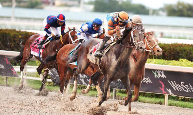 Kentucky Derby Betting Preview: Is Forte A Formidable Favorite?