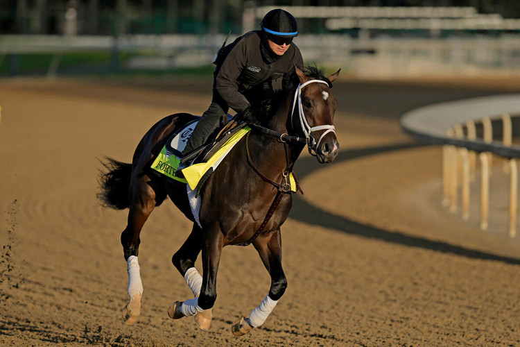 Kentucky Derby odds, horse-by-horse analysis