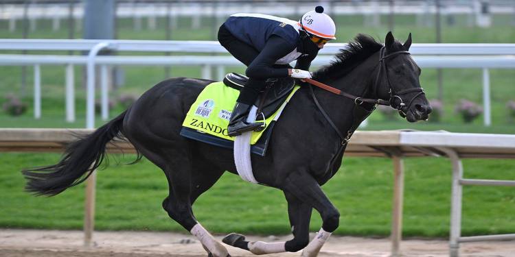 Kentucky Derby: What the experts say about Zandon, Taiba, other horses
