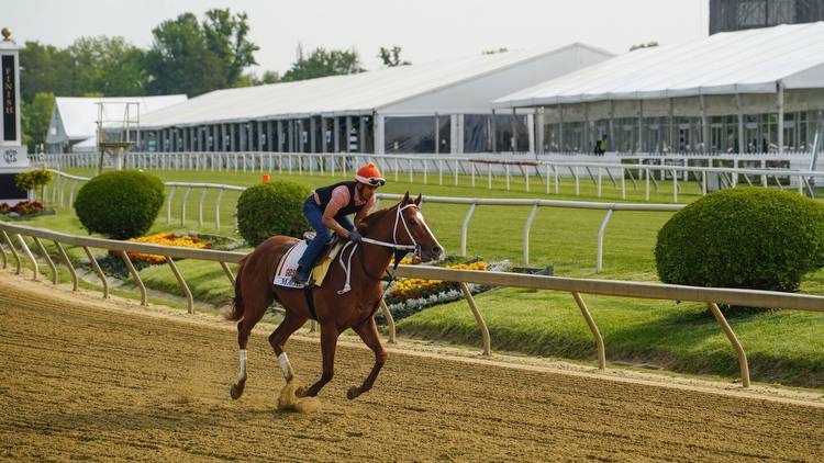 Kentucky Derby winner Mage's team settles into Preakness routine