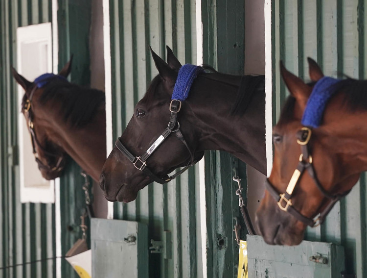 Kentucky Derby winner Medina Spirit gets green light for Preakness Stakes