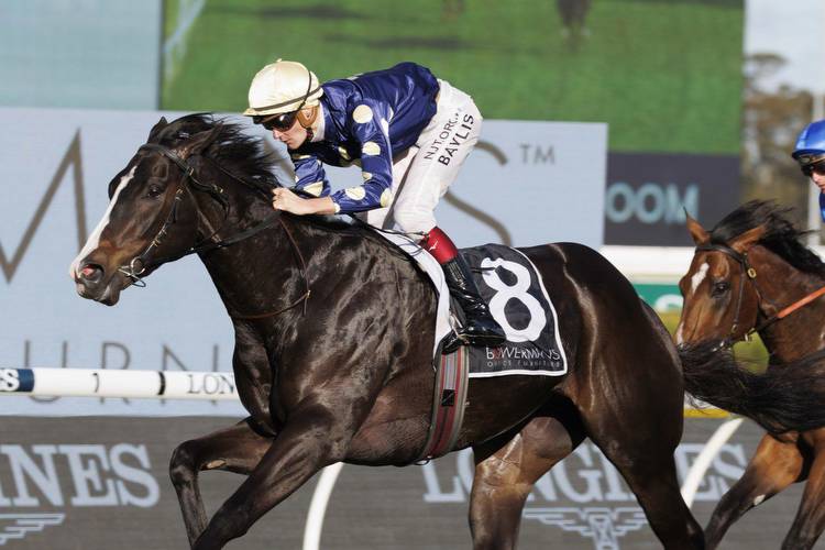 Kibou Ruled Out Of 2022 Spring Racing Carnival With Bone Chips