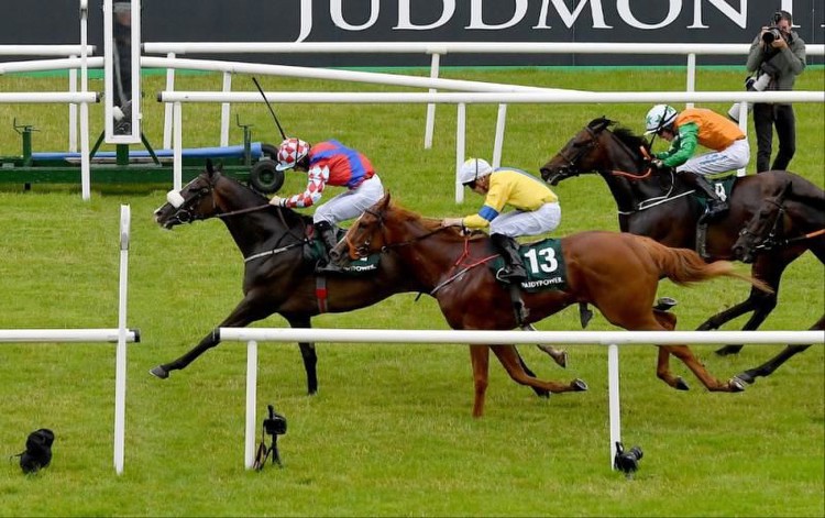 Kildare Racing: High quality entries for Curragh feature races this weekend