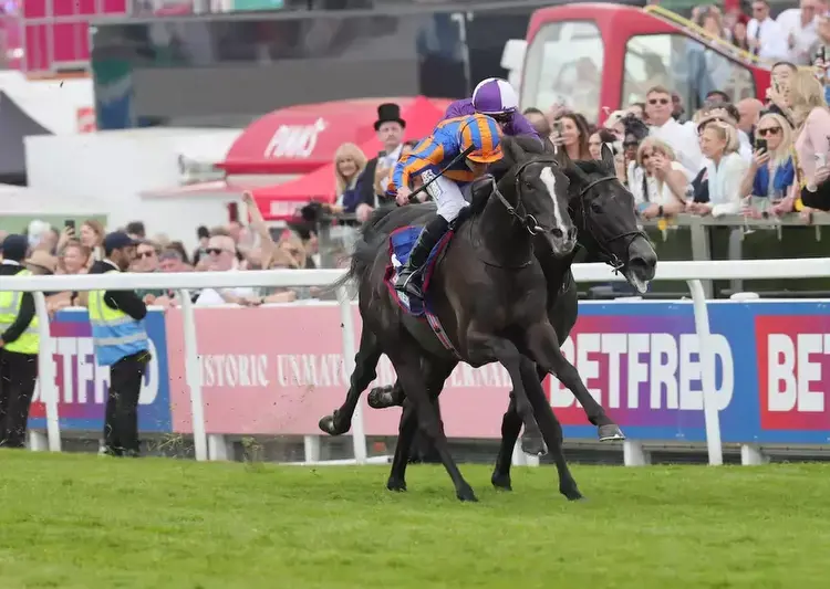 King George samedi à Ascot