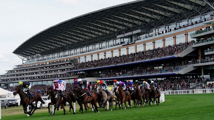 King George V Stakes each-way tip: Royal Ascot glory beckons for Desert Hero