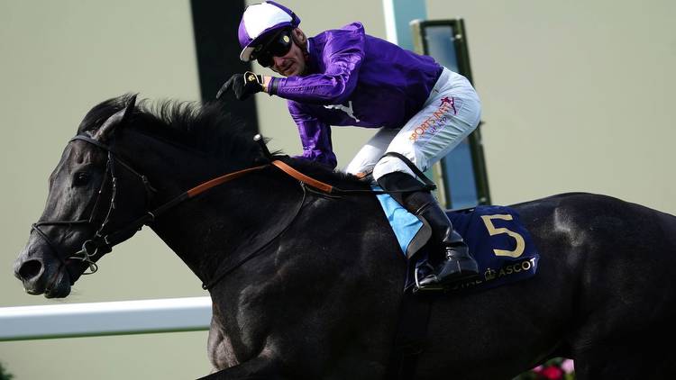 King George VI and Queen Elizabeth QIPCO Stakes preview: King Of Steel in the frame